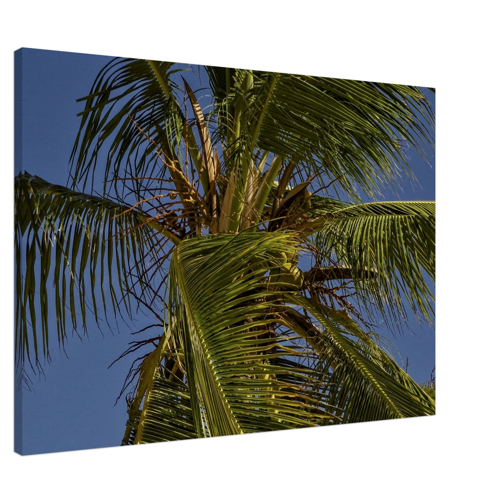 2d9deed8-c7b3-40f0-a6e6-ea7633604d91
