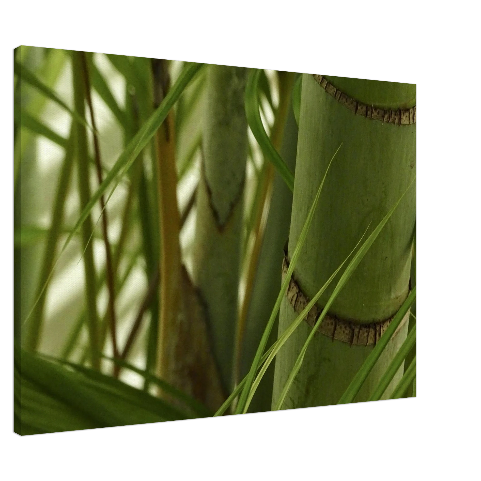 ea51c420-e3d8-49d8-bb9f-71e643e1ede3