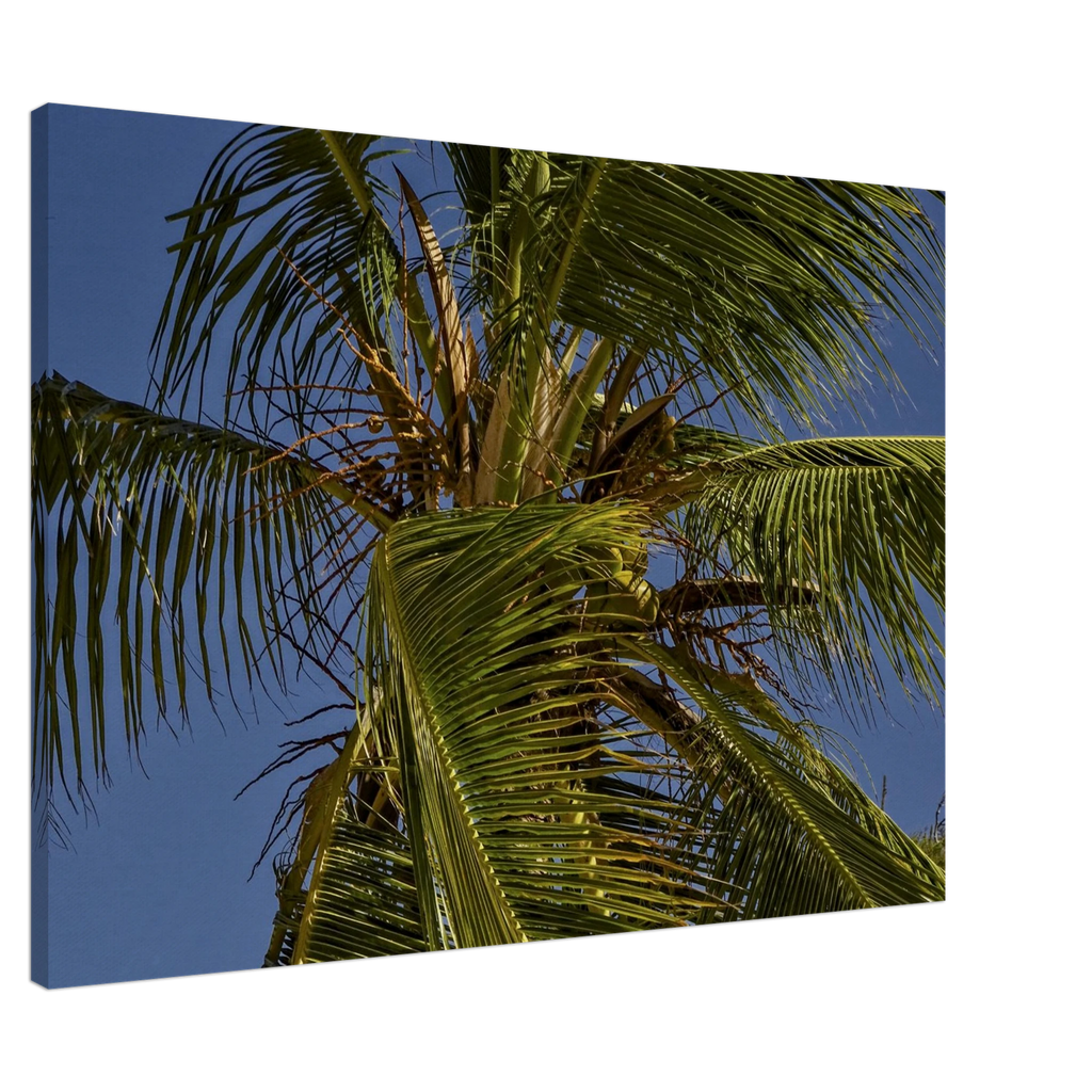 2d9deed8-c7b3-40f0-a6e6-ea7633604d91