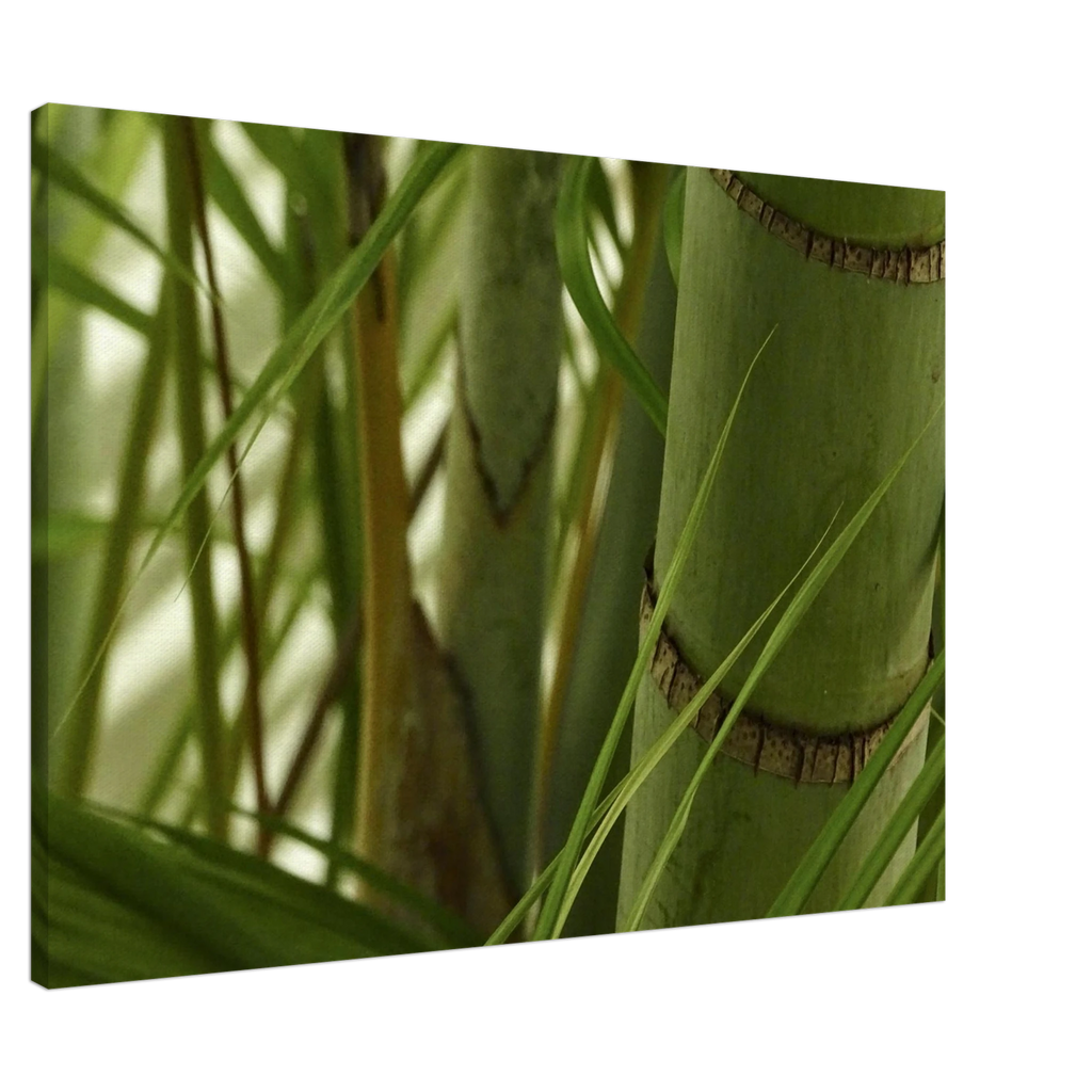 ea51c420-e3d8-49d8-bb9f-71e643e1ede3